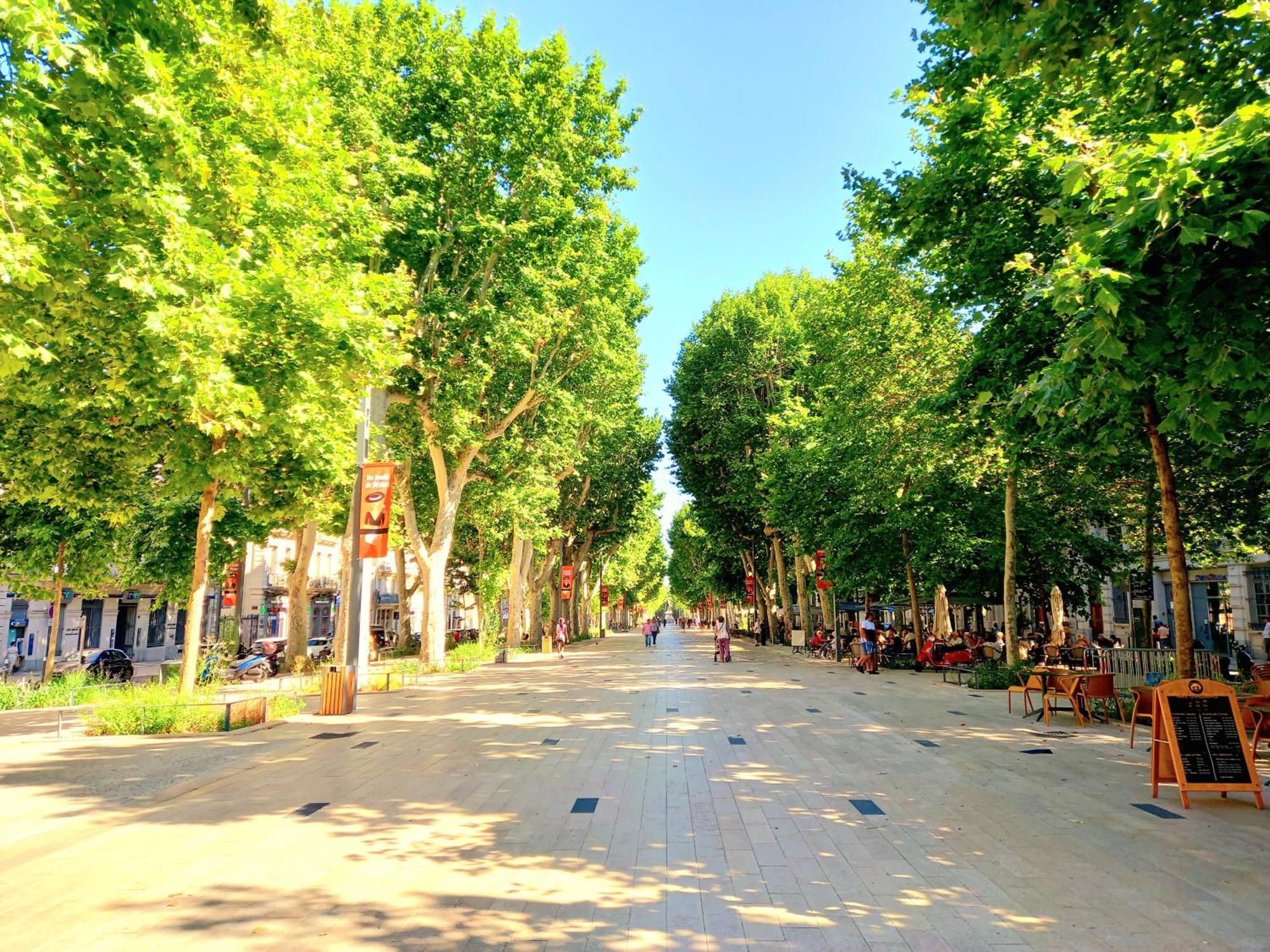 T2 Halles & Cathedrale - Centre Historique - Clim - Wifi - Free Parking Sur Demande Apartment Beziers